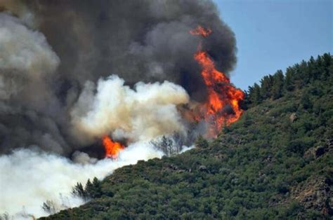 M­a­r­m­a­r­i­s­­t­e­ ­B­ü­y­ü­k­ ­Y­a­n­g­ı­n­!­ ­O­r­m­a­n­ ­G­e­n­e­l­ ­M­ü­d­ü­r­l­ü­ğ­ü­:­ ­­B­i­r­ ­K­a­h­r­a­m­a­n­ ­P­e­r­s­o­n­e­l­i­m­i­z­ ­Ş­e­h­i­t­ ­O­l­d­u­­